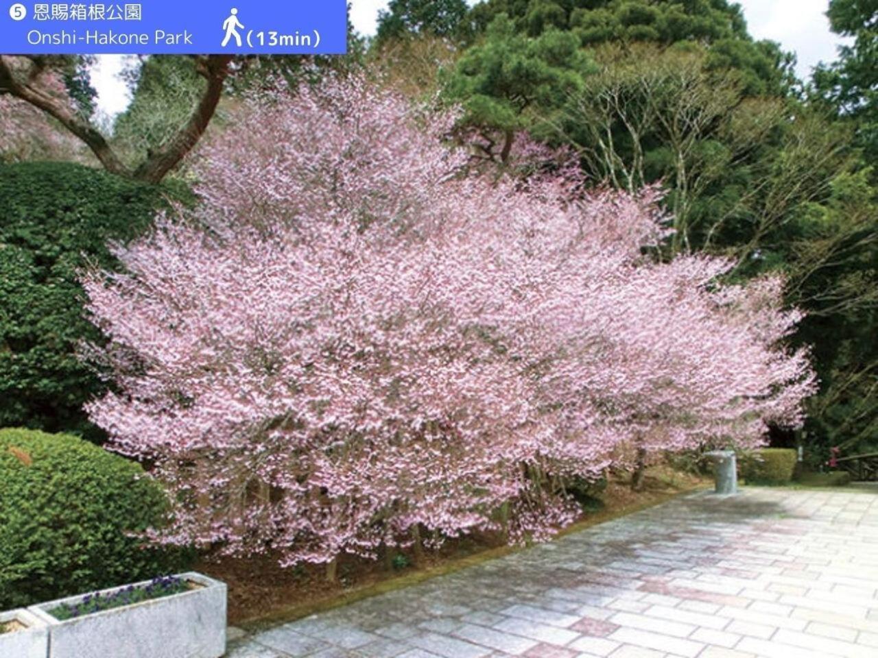Yoichi Inn Hakone Eksteriør billede