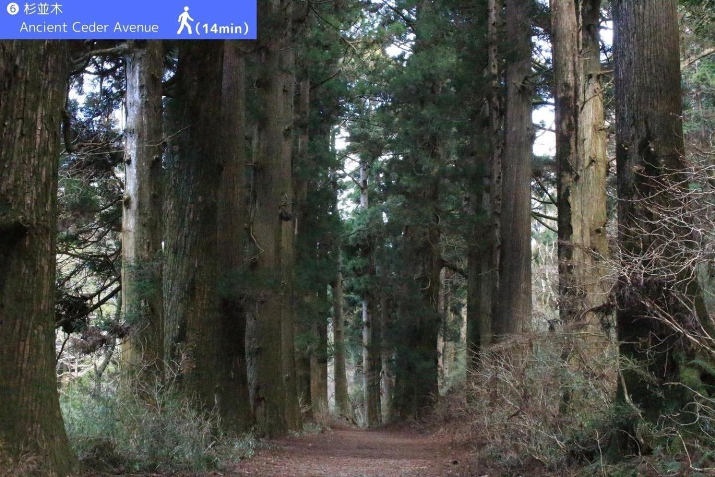 Yoichi Inn Hakone Eksteriør billede